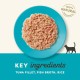 Applaws Cat Feed Tuna Fillet » 24x70g Applaws Cat Feed Tuna Fillet » 24x70g