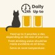 Applaws Cat Food Pouch Tuna Wholemeat with Salmon in Jelly 16 x 70 g Applaws Cat Food Pouch Tuna Wholemeat with Salmon in Jelly 16 x 70 g