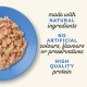 Applaws Cat Pouch Fish Selection in Jelly MP 1 x (12 x 70 g) Applaws Cat Pouch Fish Selection in Jelly MP 1 x (12 x 70 g)