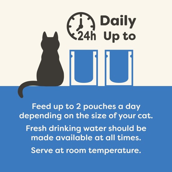 Applaws Cat Pouch Fish Selection in Jelly MP 1 x (12 x 70 g) Applaws Cat Pouch Fish Selection in Jelly MP 1 x (12 x 70 g)