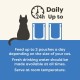 Applaws Cat Pouch Fish Selection in Jelly MP 1 x (12 x 70 g) Applaws Cat Pouch Fish Selection in Jelly MP 1 x (12 x 70 g)