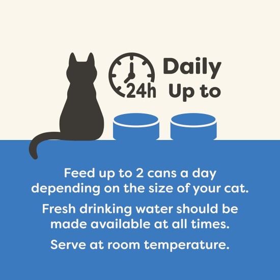 Applaws Natural Wet Cat Food Fish Selection in Jelly (Pack of 12 x 70g Tins) Applaws Natural Wet Cat Food Fish Selection in Jelly (Pack of 12 x 70g Tins)