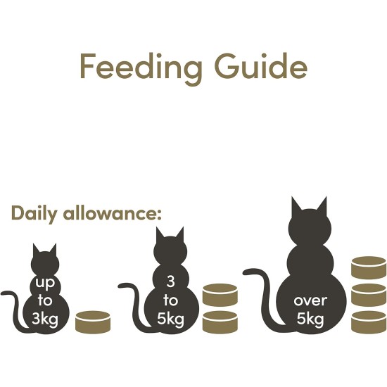 Applaws Natural Wet Cat Food Fish Selection in Jelly (Pack of 12 x 70g Tins) Applaws Natural Wet Cat Food Fish Selection in Jelly (Pack of 12 x 70g Tins)