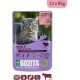 Bozita Wet Food Senior 8+ Appetizers in Sauce with Beef - 12 x 85 g Portion Bag Grain-Free & Wheat Free Food for Cats - Cats Wet Food with 8.5% Protein & 4.5% Fat Content Bozita Wet Food Senior 8+ Appetizers in Sauce with Beef - 12 x 85 g Portion Bag Grain-Free & Wheat Free Food for Cats - Cats Wet Food with 8.5% Protein & 4.5% Fat Content