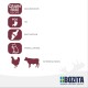 Bozita Wet Food Senior 8+ Appetizers in Sauce with Beef - 12 x 85 g Portion Bag Grain-Free & Wheat Free Food for Cats - Cats Wet Food with 8.5% Protein & 4.5% Fat Content Bozita Wet Food Senior 8+ Appetizers in Sauce with Beef - 12 x 85 g Portion Bag Grain-Free & Wheat Free Food for Cats - Cats Wet Food with 8.5% Protein & 4.5% Fat Content