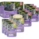 Bozita Wet Food Senior 8+ Appetizers in Sauce with Meat - 12 x 85 g Portion Bag Grain-Free & Wheat Free Food for Cats - Cats Wet Food with 8.5% Protein & 4.5% Fat Content Bozita Wet Food Senior 8+ Appetizers in Sauce with Meat - 12 x 85 g Portion Bag Grain-Free & Wheat Free Food for Cats - Cats Wet Food with 8.5% Protein & 4.5% Fat Content