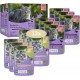 Bozita Wet Food Senior 8+ Appetizers in Sauce with Meat - 12 x 85 g Portion Bag Grain-Free & Wheat Free Food for Cats - Cats Wet Food with 8.5% Protein & 4.5% Fat Content Bozita Wet Food Senior 8+ Appetizers in Sauce with Meat - 12 x 85 g Portion Bag Grain-Free & Wheat Free Food for Cats - Cats Wet Food with 8.5% Protein & 4.5% Fat Content
