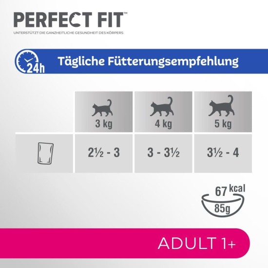 Complete Food for Adult Cats - Pet Food Complete Food for Adult Cats - Pet Food