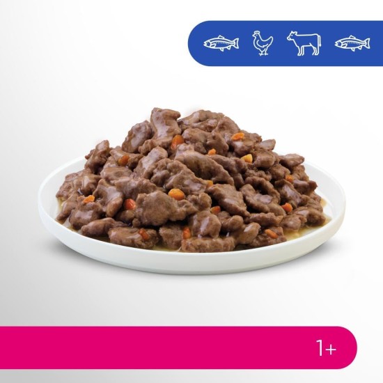 Complete Food for Adult Cats - Pet Food Complete Food for Adult Cats - Pet Food