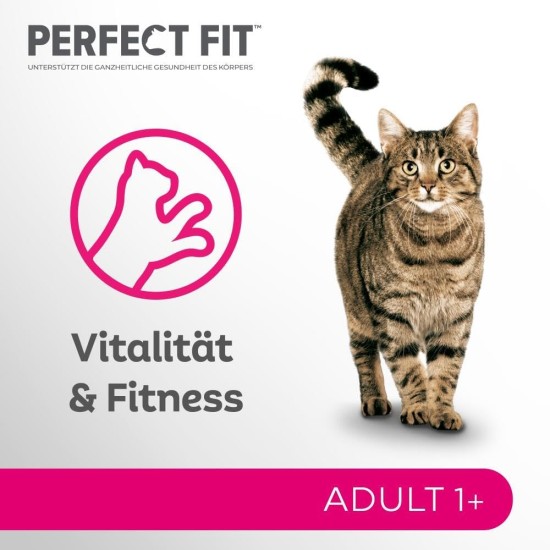 Complete Food for Adult Cats - Pet Food Complete Food for Adult Cats - Pet Food