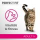 Complete Food for Adult Cats - Pet Food Complete Food for Adult Cats - Pet Food