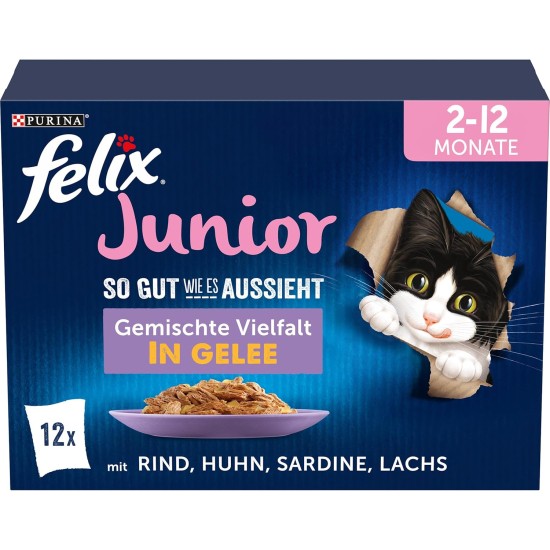 FELIX As Good As It Looks Junior Kitten Food Wet in Jelly with Chicken, Pack of 26 (26 x 85 g) FELIX As Good As It Looks Junior Kitten Food Wet in Jelly with Chicken, Pack of 26 (26 x 85 g)