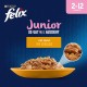 FELIX As Good As It Looks Junior Kitten Food Wet in Jelly with Chicken, Pack of 26 (26 x 85 g) FELIX As Good As It Looks Junior Kitten Food Wet in Jelly with Chicken, Pack of 26 (26 x 85 g)