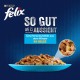 FELIX As Good As It Looks Wet Cat Food in Jelly, Variety Mix, Pack of 6 (6 x 12 Bags of 85 g) FELIX As Good As It Looks Wet Cat Food in Jelly, Variety Mix, Pack of 6 (6 x 12 Bags of 85 g)