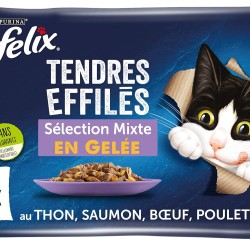 FELIX Delicate Jelly | Adult Cat | Selection of Chicken, Beef, Tuna, Salmon | 4 x 85g | Fresh Bags FELIX Delicate Jelly | Adult Cat | Selection of Chicken, Beef, Tuna, Salmon | 4 x 85g | Fresh Bags