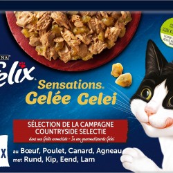 FELIX Sensations Jelly | Adult Cat | Selection of Beef, Chicken, Duck, Lamb | 12 x 85 g | Fresh Bags FELIX Sensations Jelly | Adult Cat | Selection of Beef, Chicken, Duck, Lamb | 12 x 85 g | Fresh Bags