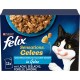 FELIX Sensations Jelly Wet Cat Food with Chicken and Carrot in Jelly, Pack of 26 (26 x 85 g) FELIX Sensations Jelly Wet Cat Food with Chicken and Carrot in Jelly, Pack of 26 (26 x 85 g)