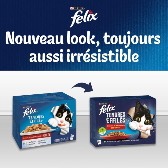 FELIX Sensations en Mixed Jelly 24 x 85g FELIX Sensations en Mixed Jelly 24 x 85g