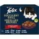 FELIX Succulent Grill Landscape 12 x 80g FELIX Succulent Grill Landscape 12 x 80g