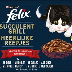 FELIX Succulent Grill Landscape 12 x 80g FELIX Succulent Grill Landscape 12 x 80g