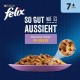 Felix Cat Food Wet in Jelly, Variety of Flavours, Large Pack of 120 (120 x 85 g) Felix Cat Food Wet in Jelly, Variety of Flavours, Large Pack of 120 (120 x 85 g)