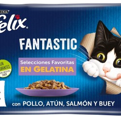 Felix Men's Purina Fantastic Gelatin Favourite Selection, Brown, 4.08 kg (Pack of 1), brown, 4.08 Kg (pack of 1) Felix Men's Purina Fantastic Gelatin Favourite Selection, Brown, 4.08 kg (Pack of 1), brown, 4.08 Kg (pack of 1)
