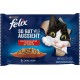Felix Wet Cat Food As Good As It Looks in Jelly Country Flavour Variety 4,080 kg Felix Wet Cat Food As Good As It Looks in Jelly Country Flavour Variety 4,080 kg