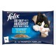 Felix Wet Cat Food As Good As It Looks in Jelly Flavour Variety from the Water, 4,080 kg Felix Wet Cat Food As Good As It Looks in Jelly Flavour Variety from the Water, 4,080 kg