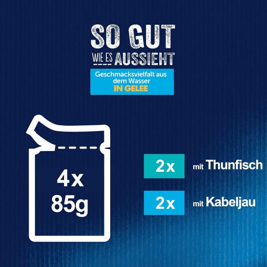 Felix Wet Cat Food As Good As It Looks in Jelly Flavour Variety from the Water, 4,080 kg Felix Wet Cat Food As Good As It Looks in Jelly Flavour Variety from the Water, 4,080 kg