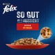 Felix as Good as It Looks Wet Cat Food In Jelly, Variety Pack of 24 or 26 Felix as Good as It Looks Wet Cat Food In Jelly, Variety Pack of 24 or 26