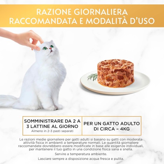 GOURMET Gold Adult Cat Wet Food Tortino with Chicken 24 x 85g Tubs GOURMET Gold Adult Cat Wet Food Tortino with Chicken 24 x 85g Tubs
