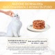 GOURMET Gold Adult Cat Wet Food Tortino with Chicken 24 x 85g Tubs GOURMET Gold Adult Cat Wet Food Tortino with Chicken 24 x 85g Tubs