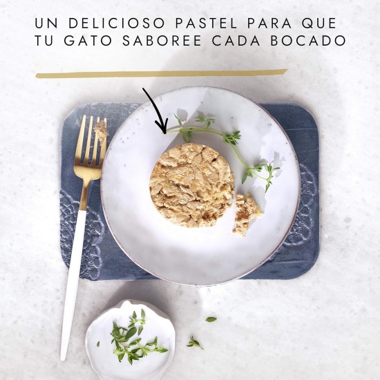 Gourmet Gold Fondant Pollo CAJA 24 x 85 GR Gourmet Gold Fondant Pollo CAJA 24 x 85 GR
