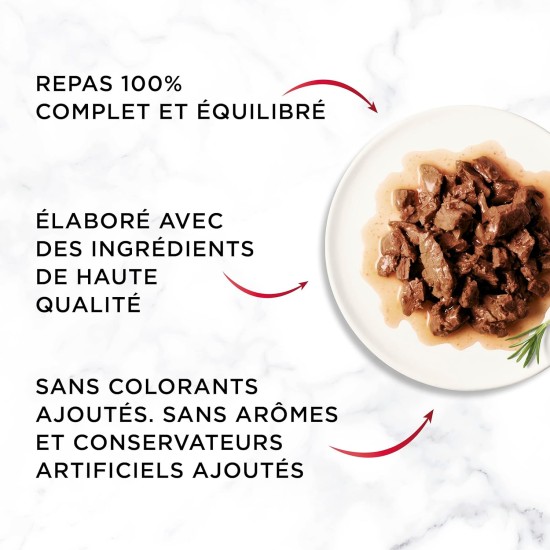 Gourmet MON Petit Intense | Cat | Discrete in Sauce | Tuna, Salmon, Trout | 8 Pieces of 6 x 50 g | Fresh Bags Gourmet MON Petit Intense | Cat | Discrete in Sauce | Tuna, Salmon, Trout | 8 Pieces of 6 x 50 g | Fresh Bags
