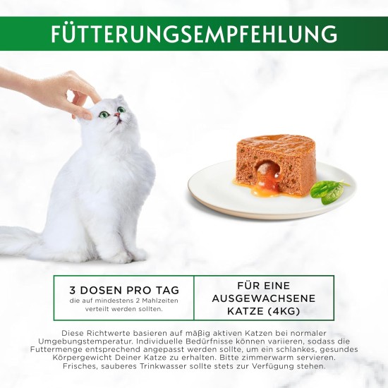 Gourmet Nature's Creations Mousse with Sauce Heart Wet Cat Food, Rich in Chicken, Pack of 12 (12 x 85 g) Gourmet Nature's Creations Mousse with Sauce Heart Wet Cat Food, Rich in Chicken, Pack of 12 (12 x 85 g)