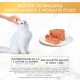 Gourmet Purina Gold Wet Cat Food Gourmet Purina Gold Wet Cat Food