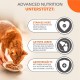 IAMS Delights Land & Sea Collection Senior Wet Cat Food - Multipack with Meat and Fish Varieties in Jelly, Wet Food for Older Cats from 7 Years, 48 x 85 g IAMS Delights Land & Sea Collection Senior Wet Cat Food - Multipack with Meat and Fish Varieties in Jelly, Wet Food for Older Cats from 7 Years, 48 x 85 g