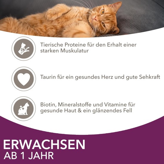 IAMS Delights Land & Sea Collection Wet Cat Food, Multipack with Meat and Fish Varieties in Sauce, Wet Food for Cats from 1 Year, 12 x 85 g IAMS Delights Land & Sea Collection Wet Cat Food, Multipack with Meat and Fish Varieties in Sauce, Wet Food for Cats from 1 Year, 12 x 85 g