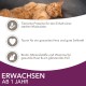 IAMS Delights Land & Sea Collection Wet Cat Food, Multipack with Meat and Fish Varieties in Sauce, Wet Food for Cats from 1 Year, 12 x 85 g IAMS Delights Land & Sea Collection Wet Cat Food, Multipack with Meat and Fish Varieties in Sauce, Wet Food for Cats from 1 Year, 12 x 85 g