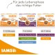 IAMS Delights Land & Sea Collection Wet Cat Food, Multipack with Meat and Fish Varieties in Sauce, Wet Food for Cats from 1 Year, 12 x 85 g IAMS Delights Land & Sea Collection Wet Cat Food, Multipack with Meat and Fish Varieties in Sauce, Wet Food for Cats from 1 Year, 12 x 85 g