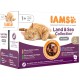 IAMS Delights Land & Sea Collection Wet Cat Food, Multipack with Meat and Fish Varieties in Sauce, Wet Food for Cats from 1 Year, 12 x 85 g IAMS Delights Land & Sea Collection Wet Cat Food, Multipack with Meat and Fish Varieties in Sauce, Wet Food for Cats from 1 Year, 12 x 85 g