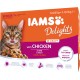 IAMS Delights Senior Wet Cat Food, Multipack with Chicken and Fish in Sauce, High-Quality Wet Food for Older Cats from 7 Years, 12 x 85 g IAMS Delights Senior Wet Cat Food, Multipack with Chicken and Fish in Sauce, High-Quality Wet Food for Older Cats from 7 Years, 12 x 85 g
