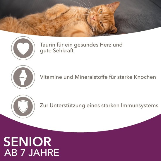IAMS Delights Senior Wet Cat Food, Multipack with Chicken and Fish in Sauce, High-Quality Wet Food for Older Cats from 7 Years, 12 x 85 g IAMS Delights Senior Wet Cat Food, Multipack with Chicken and Fish in Sauce, High-Quality Wet Food for Older Cats from 7 Years, 12 x 85 g