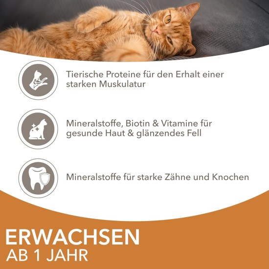 IAMS Delights Wet Cat Food with Tuna & Herring in Jelly - Multipack for Adult Cats, 24 x 85 g IAMS Delights Wet Cat Food with Tuna & Herring in Jelly - Multipack for Adult Cats, 24 x 85 g