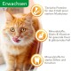 IAMS Delights Wet Cat Food with Tuna & Herring in Jelly - Multipack for Adult Cats, 24 x 85 g IAMS Delights Wet Cat Food with Tuna & Herring in Jelly - Multipack for Adult Cats, 24 x 85 g