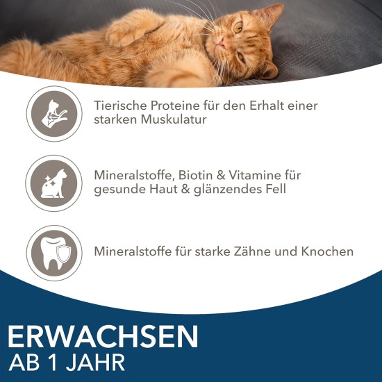 IAMS Delights Wet Cat Food with Tuna & Herring in Jelly - Multipack for Adult Cats, 24 x 85 g IAMS Delights Wet Cat Food with Tuna & Herring in Jelly - Multipack for Adult Cats, 24 x 85 g