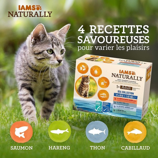 IAMS Naturally Wet Cat Food in Sauce, High-Quality Wet Food with Fish / Meat for Adult or Senior Cats, Various Sizes (4 x 85 g / 12 x 85 g) IAMS Naturally Wet Cat Food in Sauce, High-Quality Wet Food with Fish / Meat for Adult or Senior Cats, Various Sizes (4 x 85 g / 12 x 85 g)