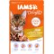 Iams Adult Delights Adult Chicken & Turkey, Wet Food for Cats, Sampler, Single Bag (85 g) Iams Adult Delights Adult Chicken & Turkey, Wet Food for Cats, Sampler, Single Bag (85 g)