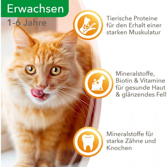 Iams Delights Wet Cat Food with Tuna & Herring in Jelly - Multipack for Adult Cats, 24 x 85 g Iams Delights Wet Cat Food with Tuna & Herring in Jelly - Multipack for Adult Cats, 24 x 85 g