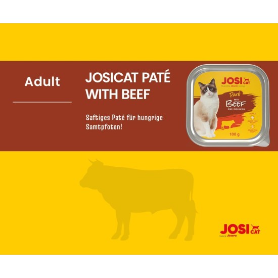 JosiCat Paté with Beef (32 x 100 g) | Adult | Premium Wet Food for Adult Cats | Pate with Beef | Vitamin D3 & E | Grain-Free | Powered by Josera | Wet Cat Food | Pack of 32 JosiCat Paté with Beef (32 x 100 g) | Adult | Premium Wet Food for Adult Cats | Pate with Beef | Vitamin D3 & E | Grain-Free | Powered by Josera | Wet Cat Food | Pack of 32